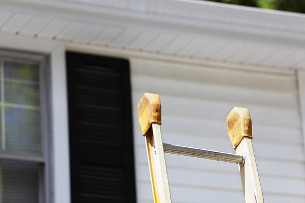 Best Historical Building Siding Restoration  in Muscoy, CA